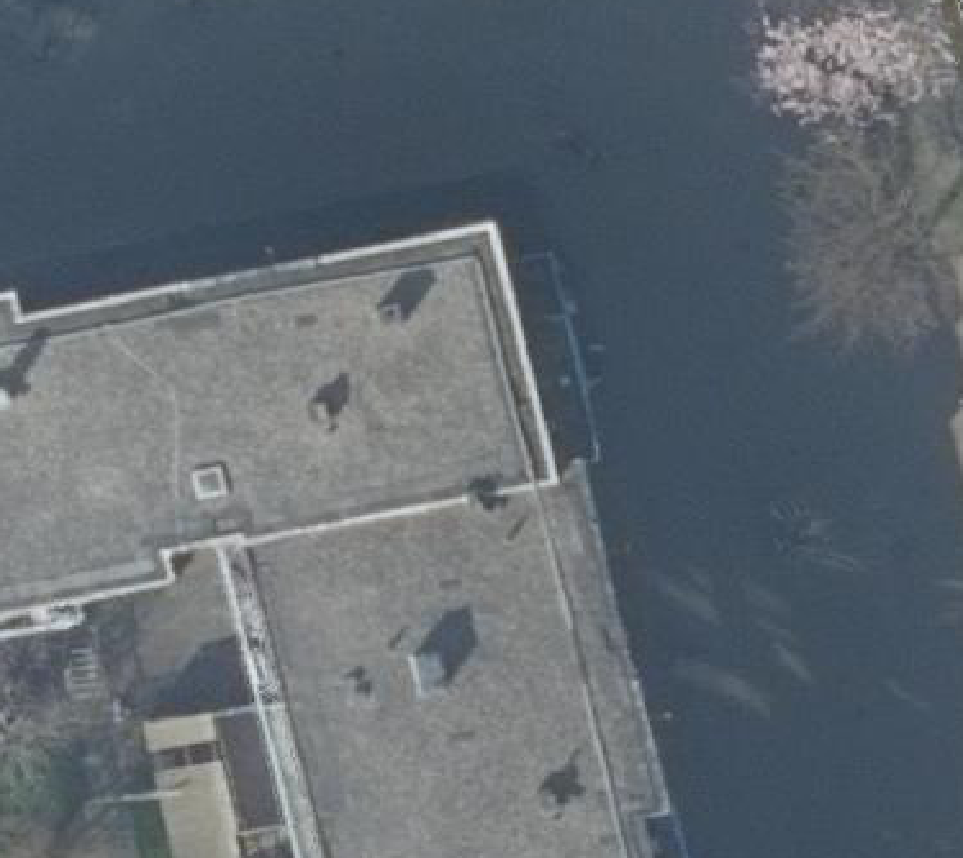 True ortho Luchtfoto op daksegment ingezoomd