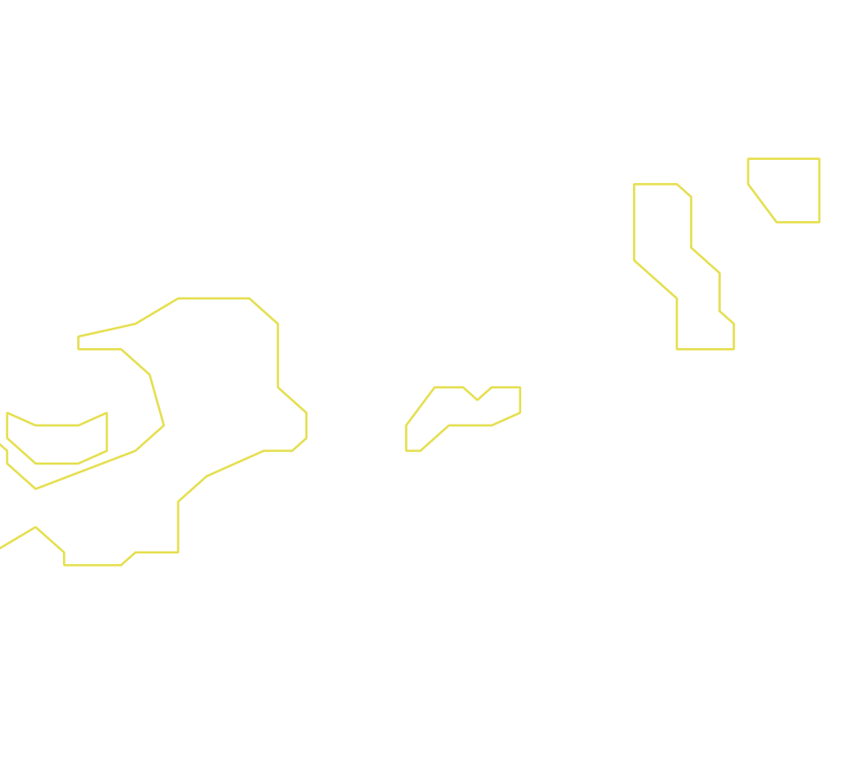 Daksegment ingezoomd met contourlijnen en structuurweergave