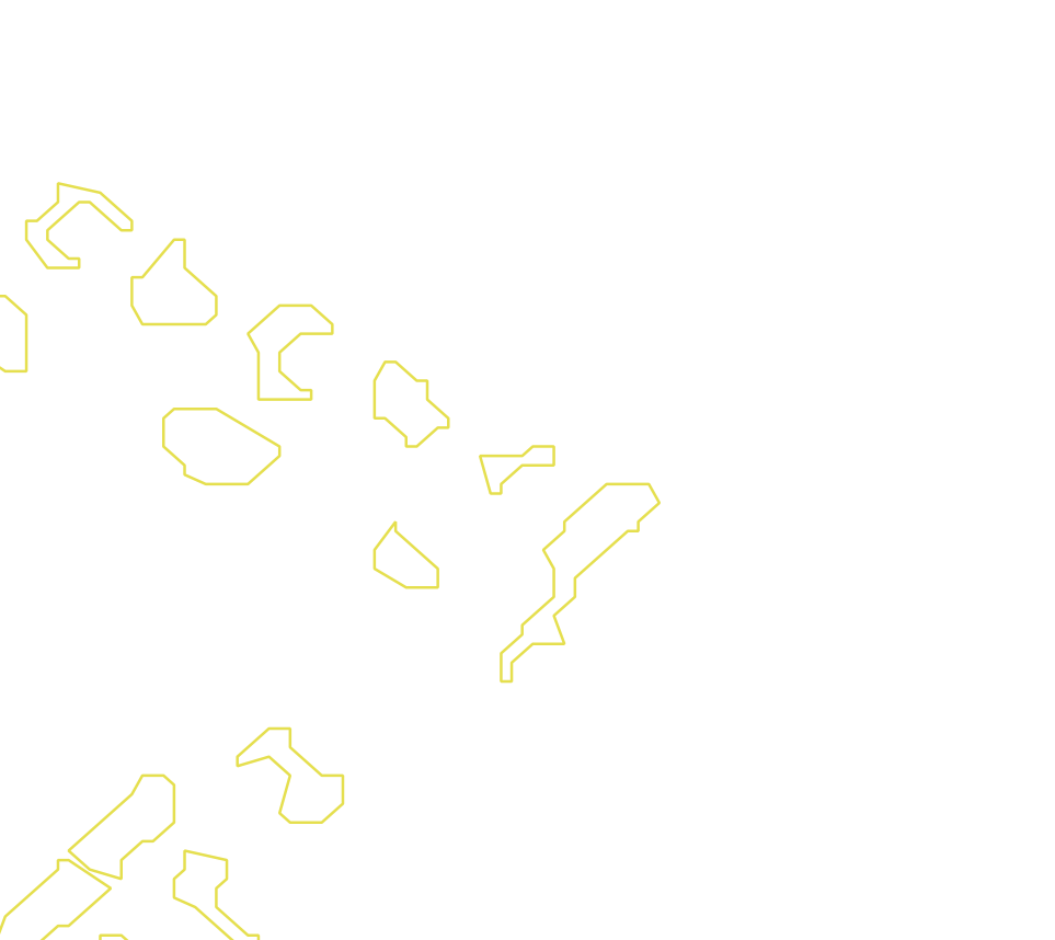 Daksegment met contourlijnen en structuurweergave