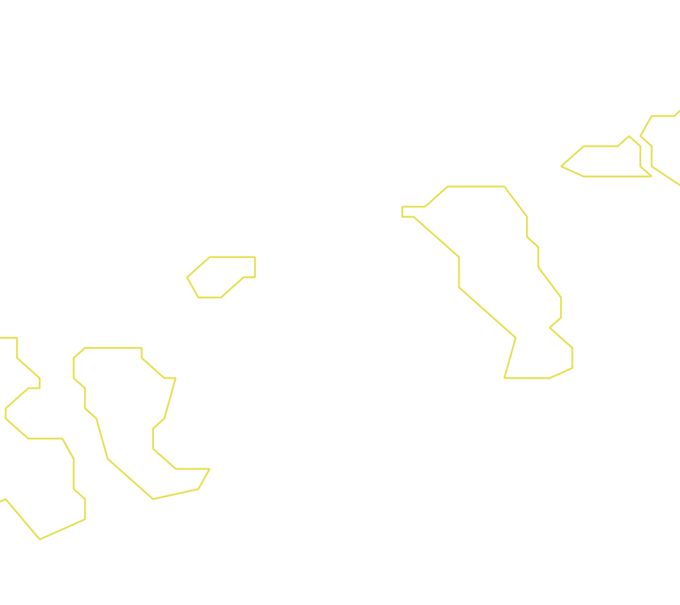Daksegment ingezoomd met contourlijnen en structuurweergave