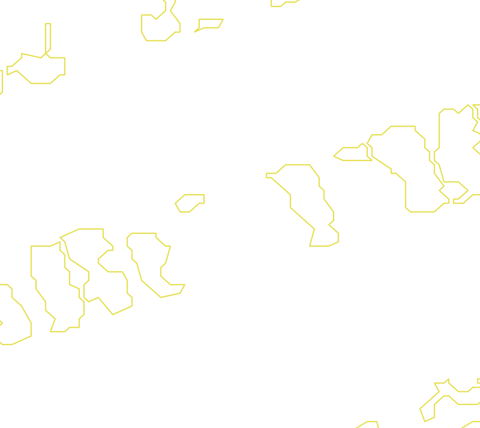 Daksegment met contourlijnen en structuurweergave
