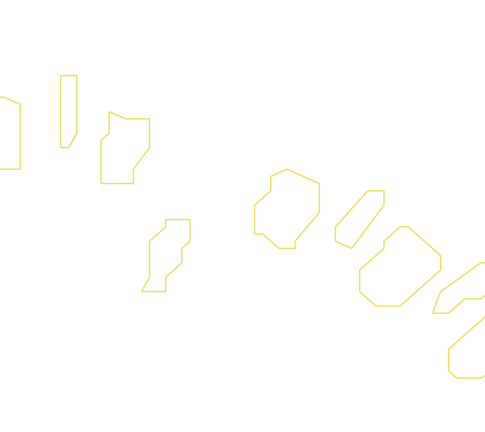 Daksegment ingezoomd met contourlijnen en structuurweergave