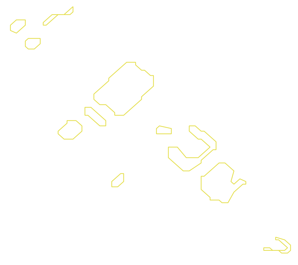 Daksegment met contourlijnen en structuurweergave