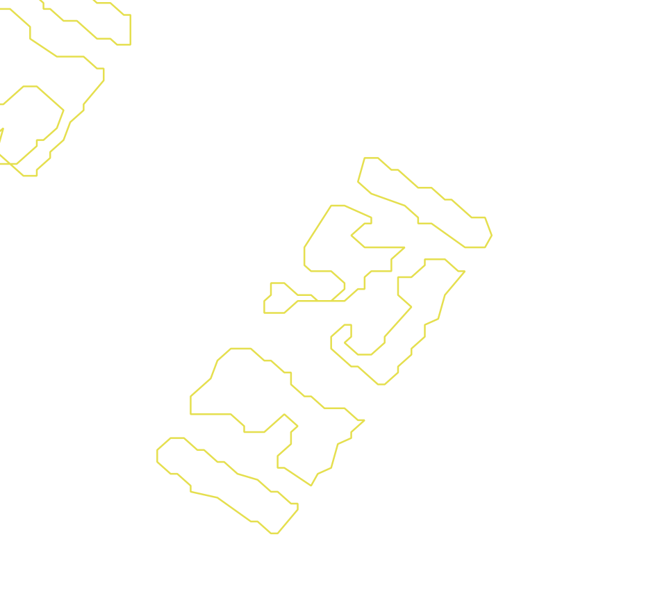 Daksegment met contourlijnen en structuurweergave