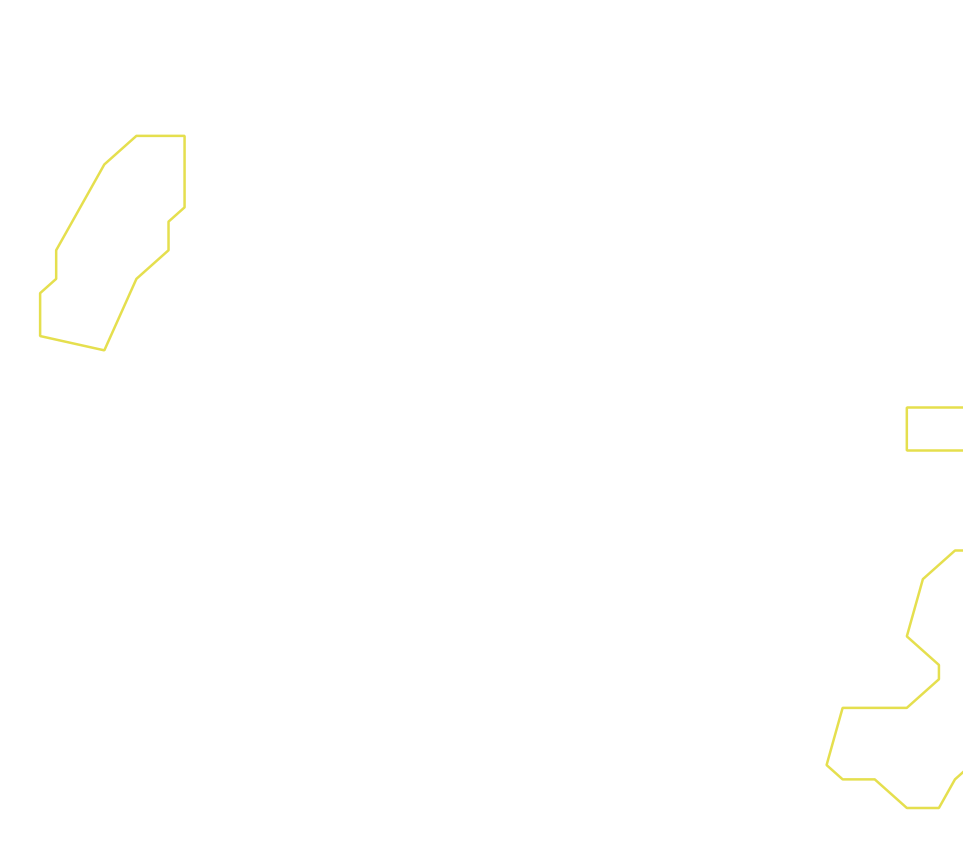 Daksegment ingezoomd met contourlijnen en structuurweergave
