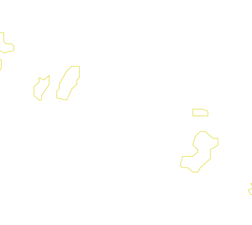 Daksegment met contourlijnen en structuurweergave
