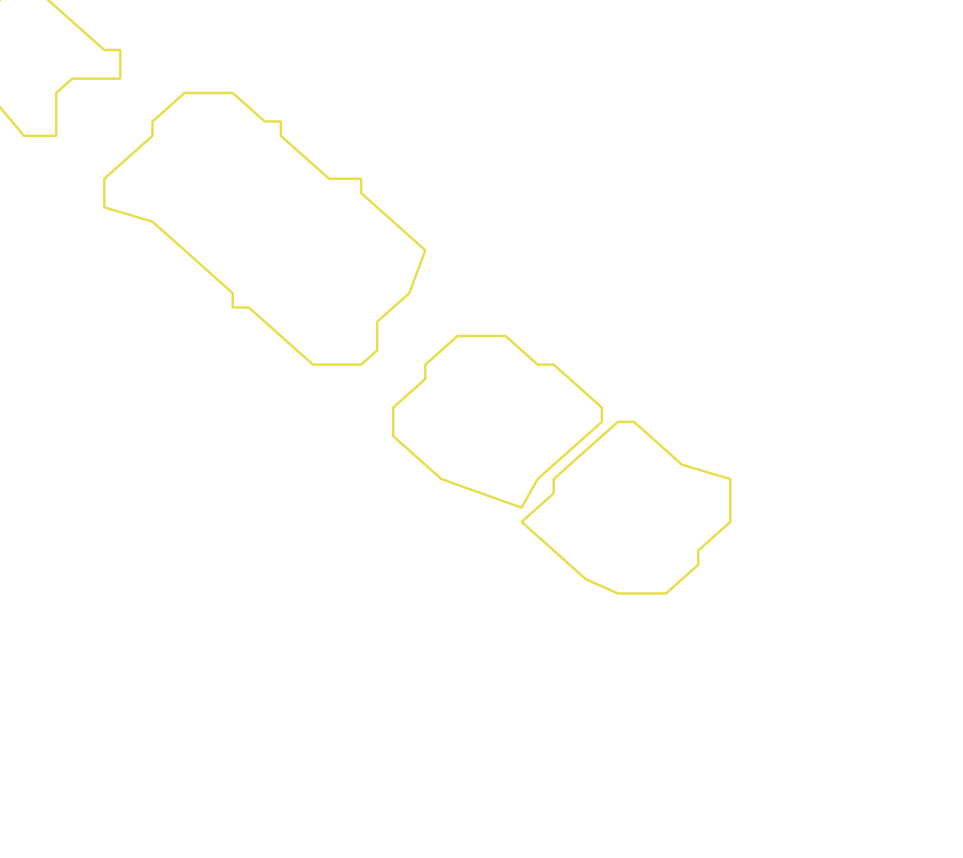 Daksegment ingezoomd met contourlijnen en structuurweergave