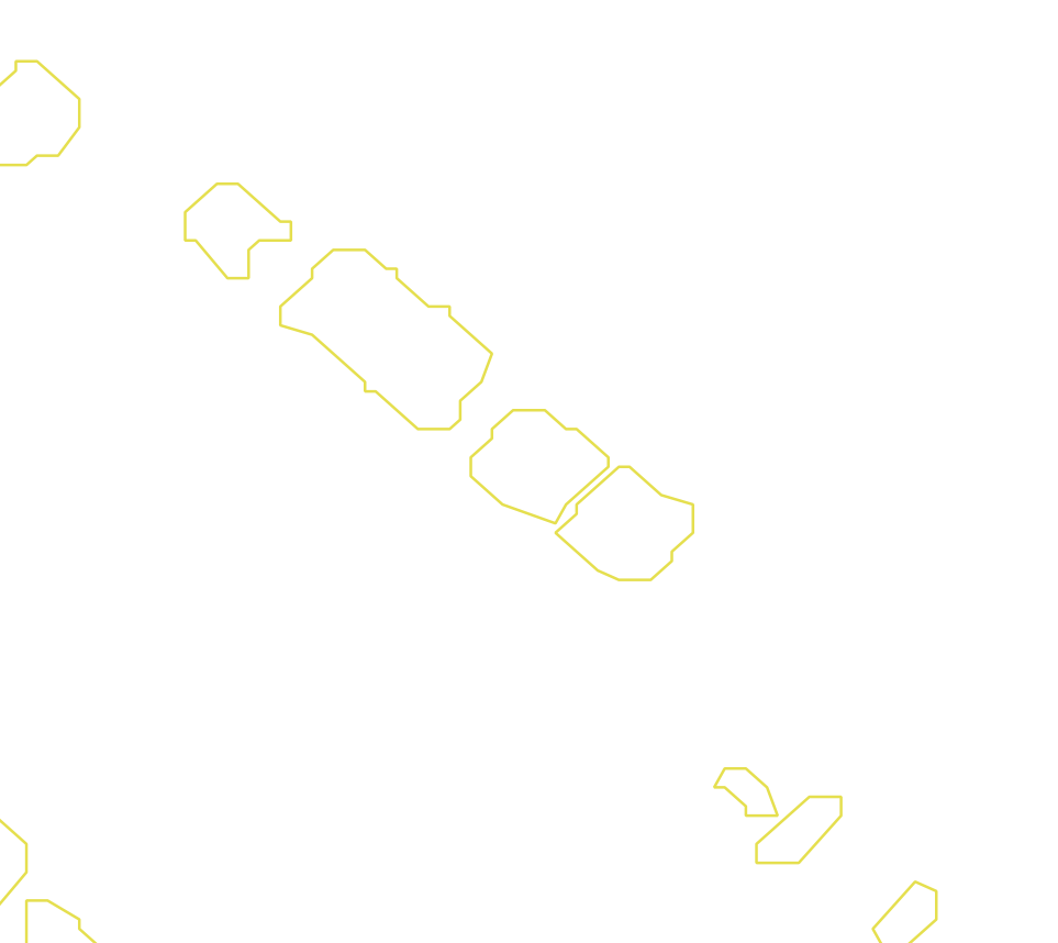 Daksegment met contourlijnen en structuurweergave