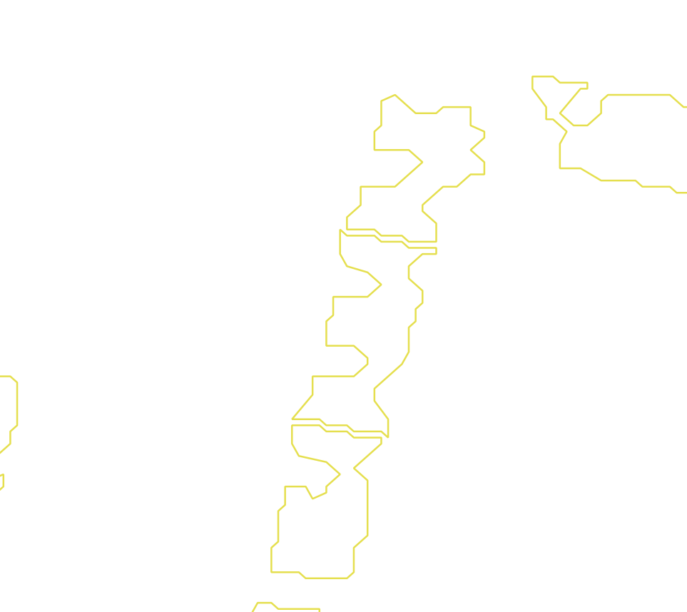 Daksegment met contourlijnen en structuurweergave