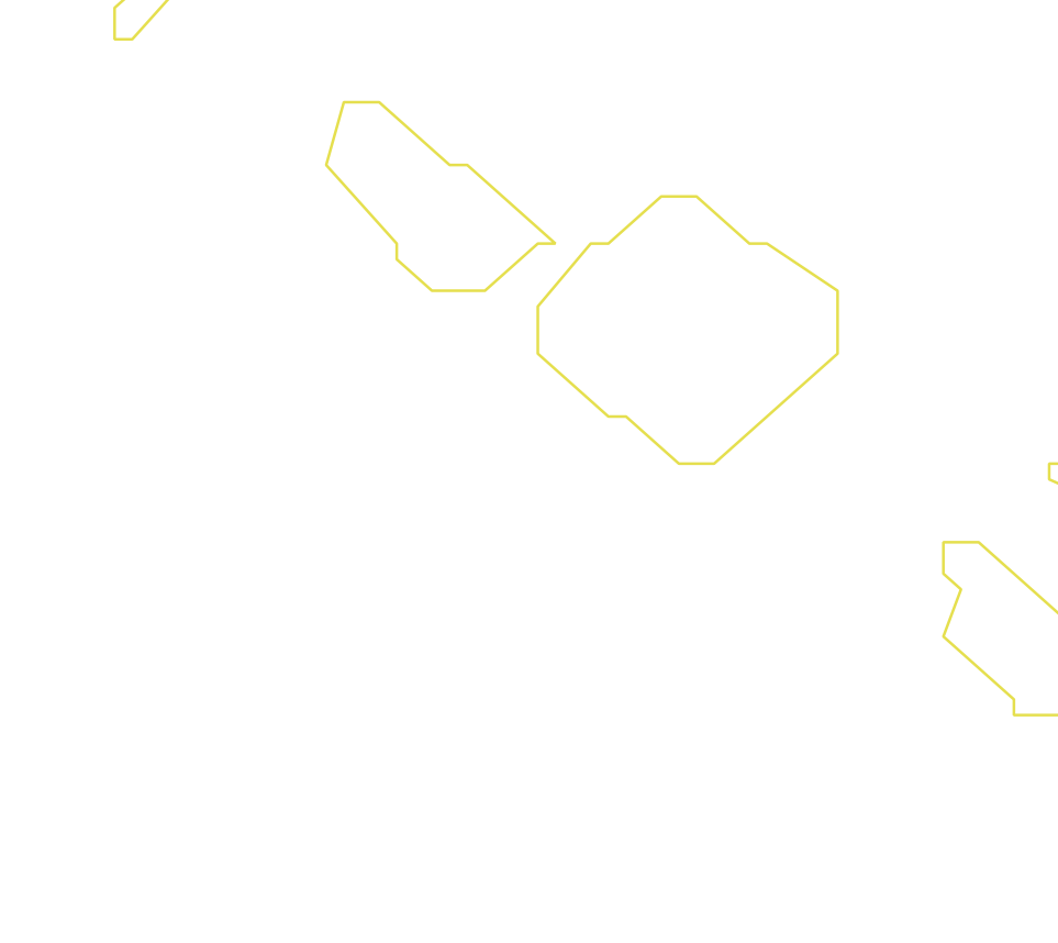 Daksegment ingezoomd met contourlijnen en structuurweergave