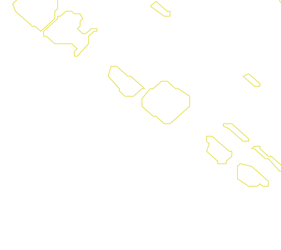 Daksegment met contourlijnen en structuurweergave