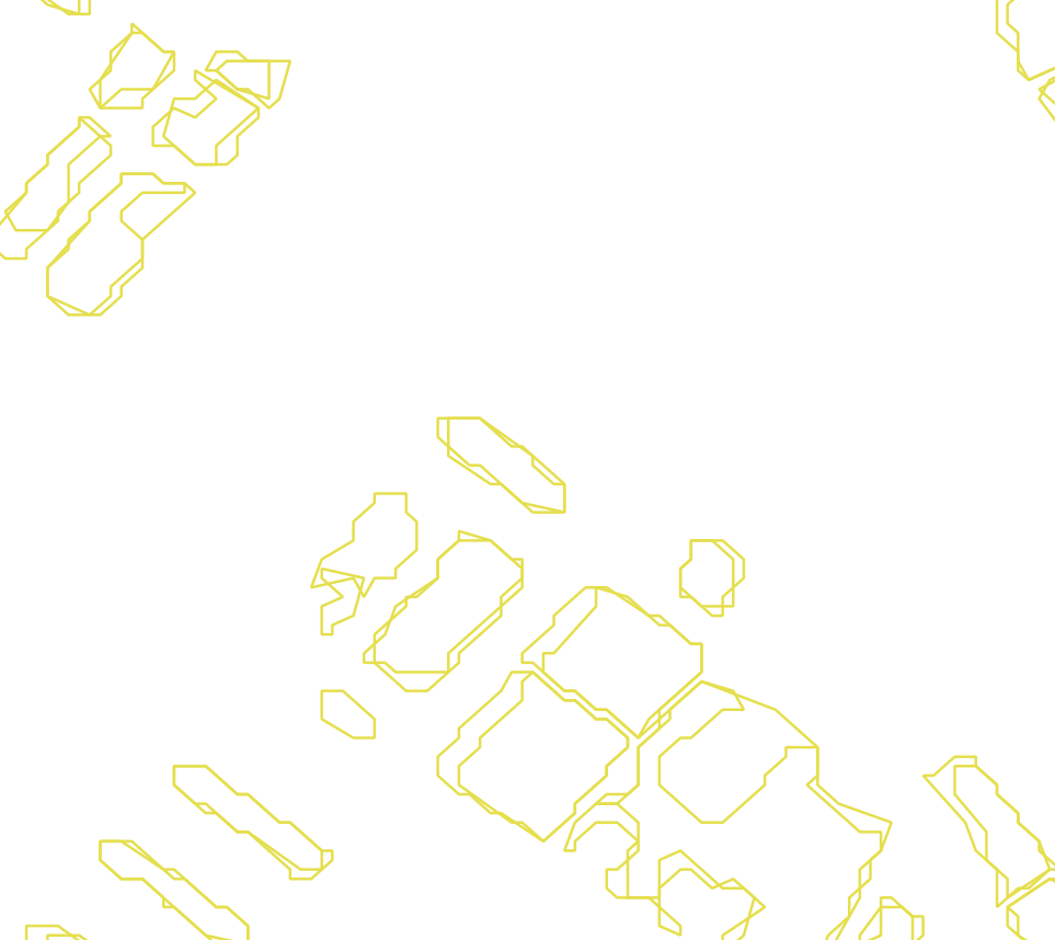 Daksegment met contourlijnen en structuurweergave