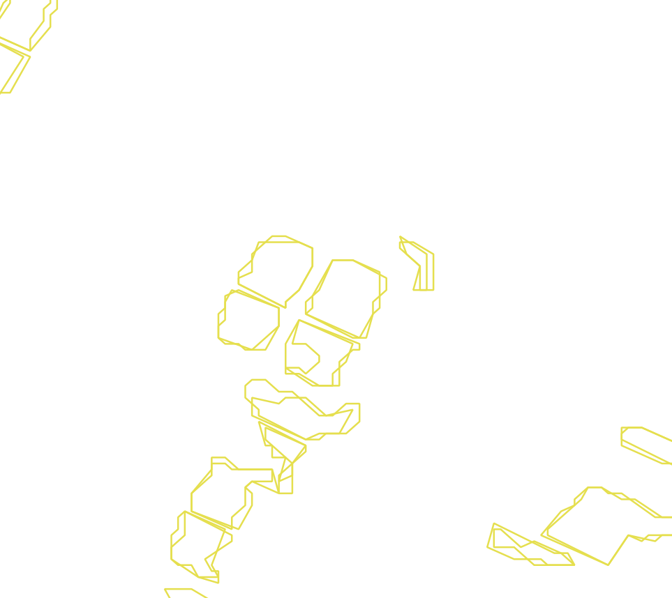 Daksegment met contourlijnen en structuurweergave
