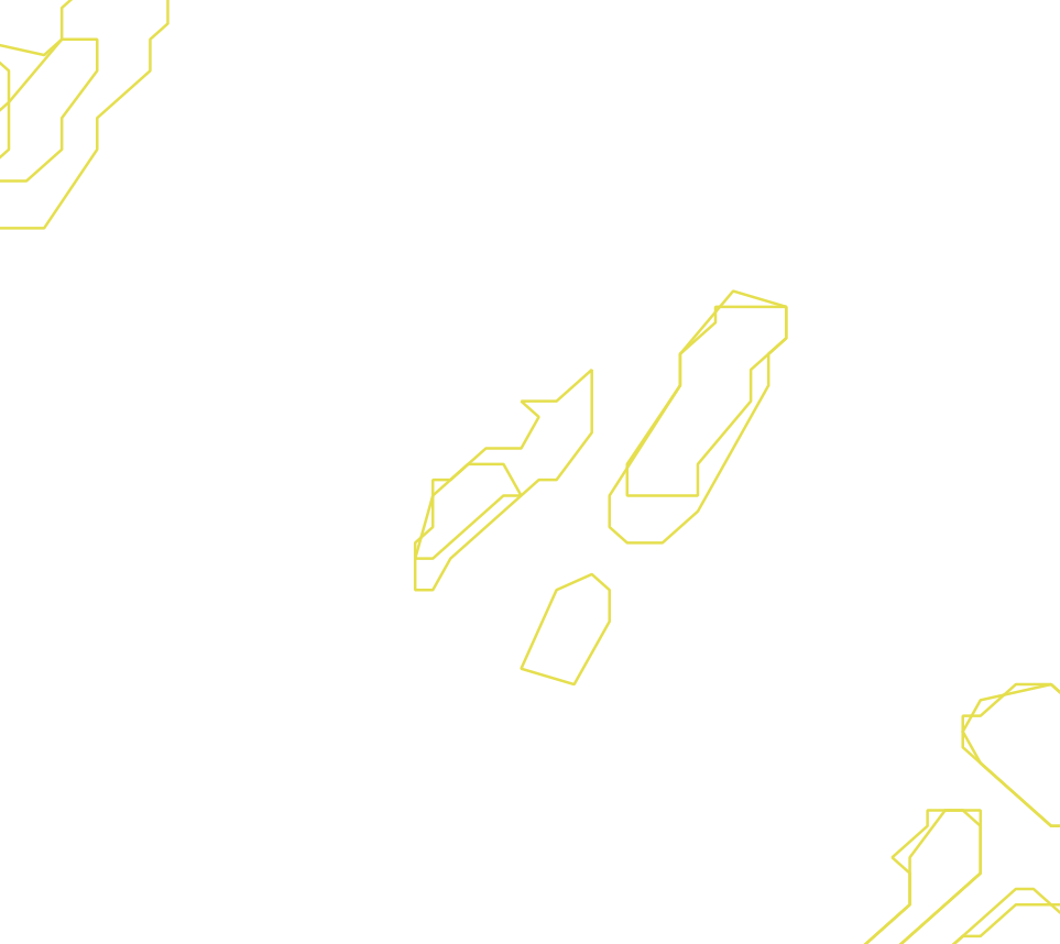 Daksegment ingezoomd met contourlijnen en structuurweergave