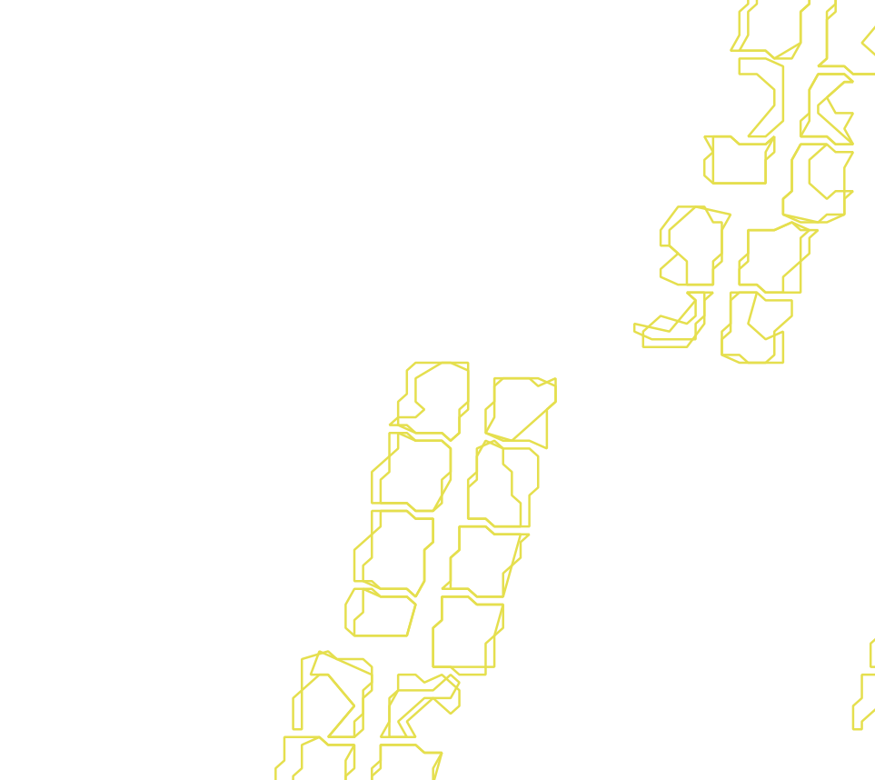 Daksegment met contourlijnen en structuurweergave
