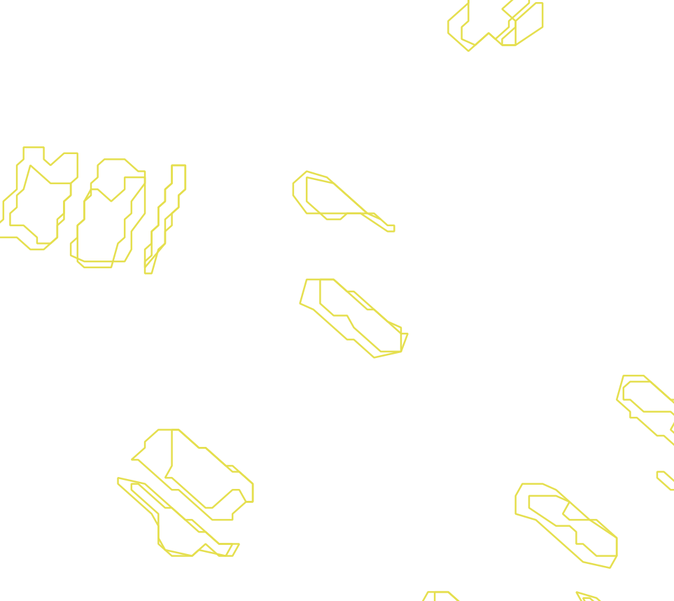 Daksegment met contourlijnen en structuurweergave