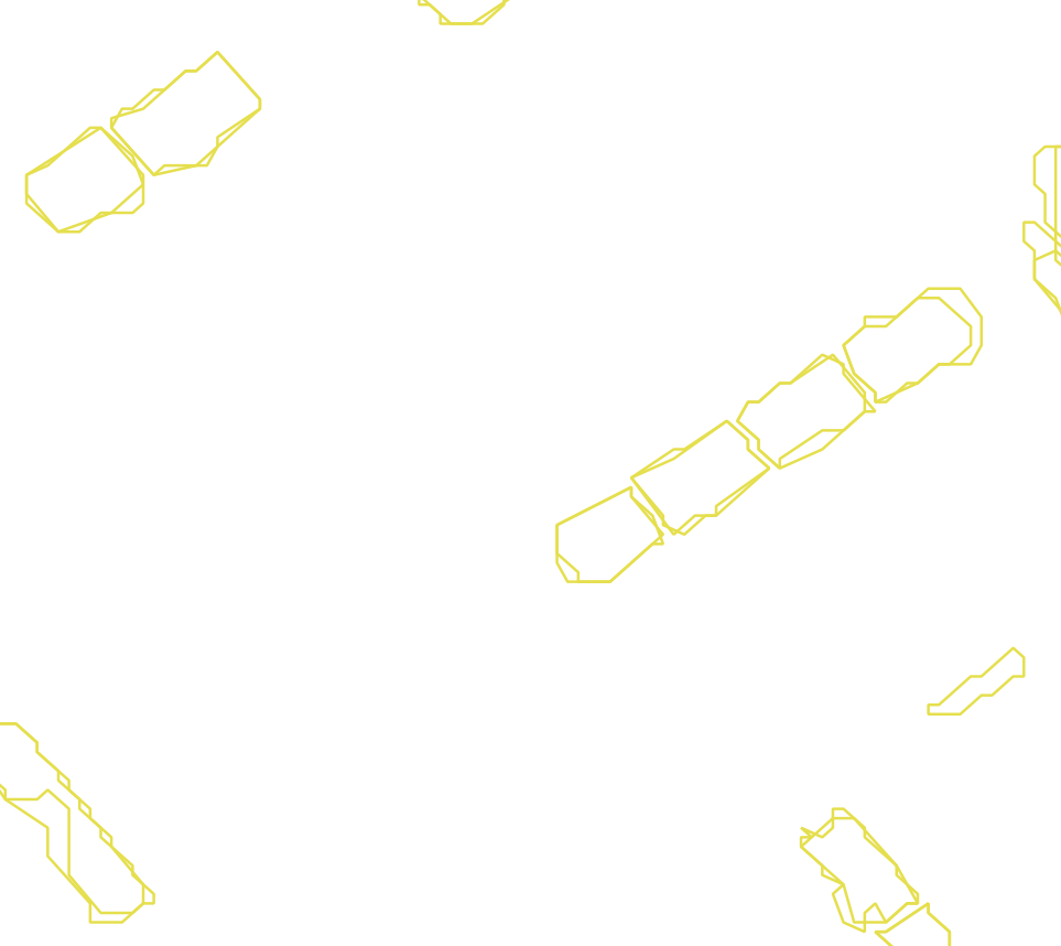 Daksegment met contourlijnen en structuurweergave