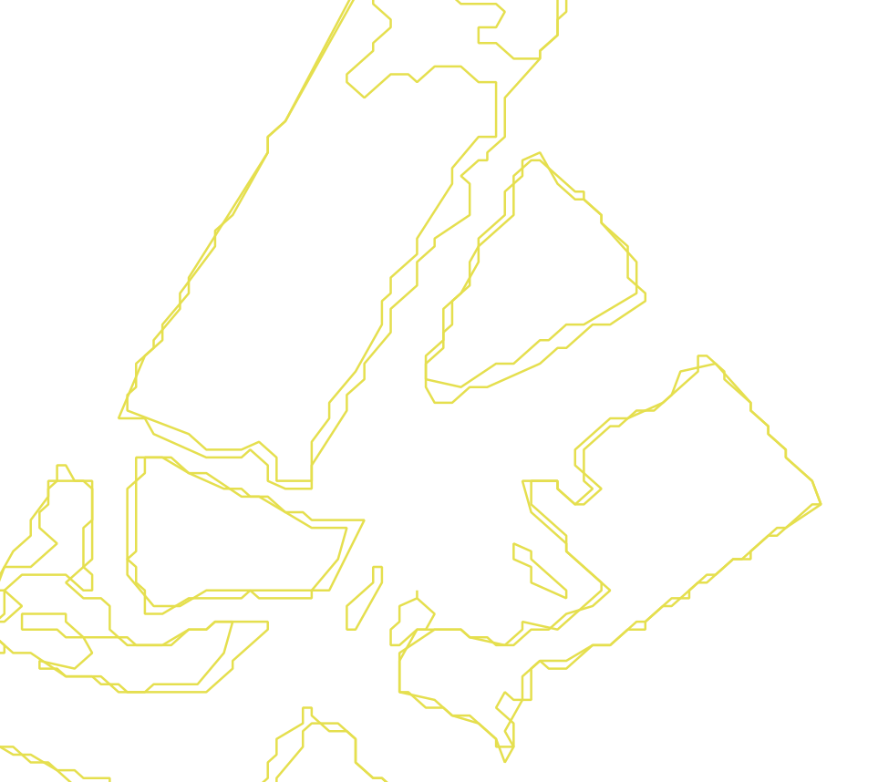 Daksegment met contourlijnen en structuurweergave
