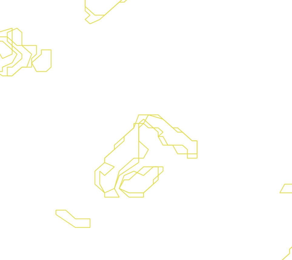 Daksegment ingezoomd met contourlijnen en structuurweergave