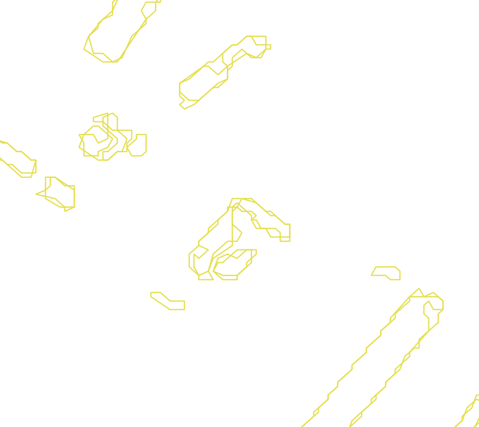 Daksegment met contourlijnen en structuurweergave