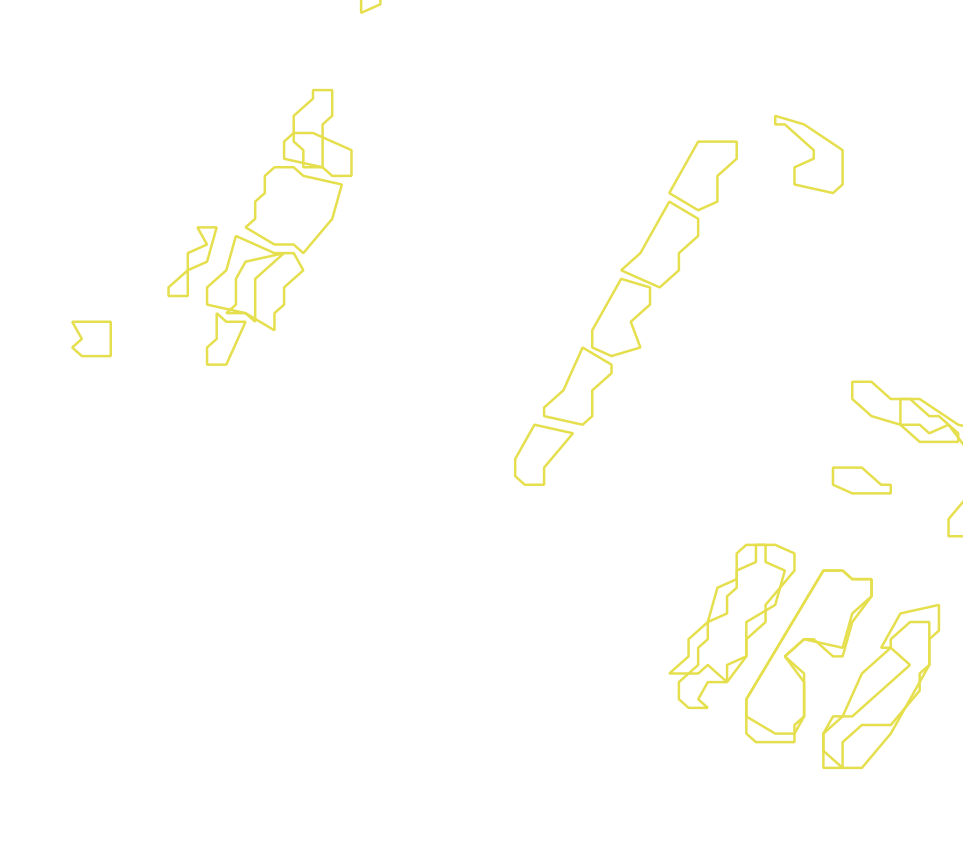 Daksegment met contourlijnen en structuurweergave