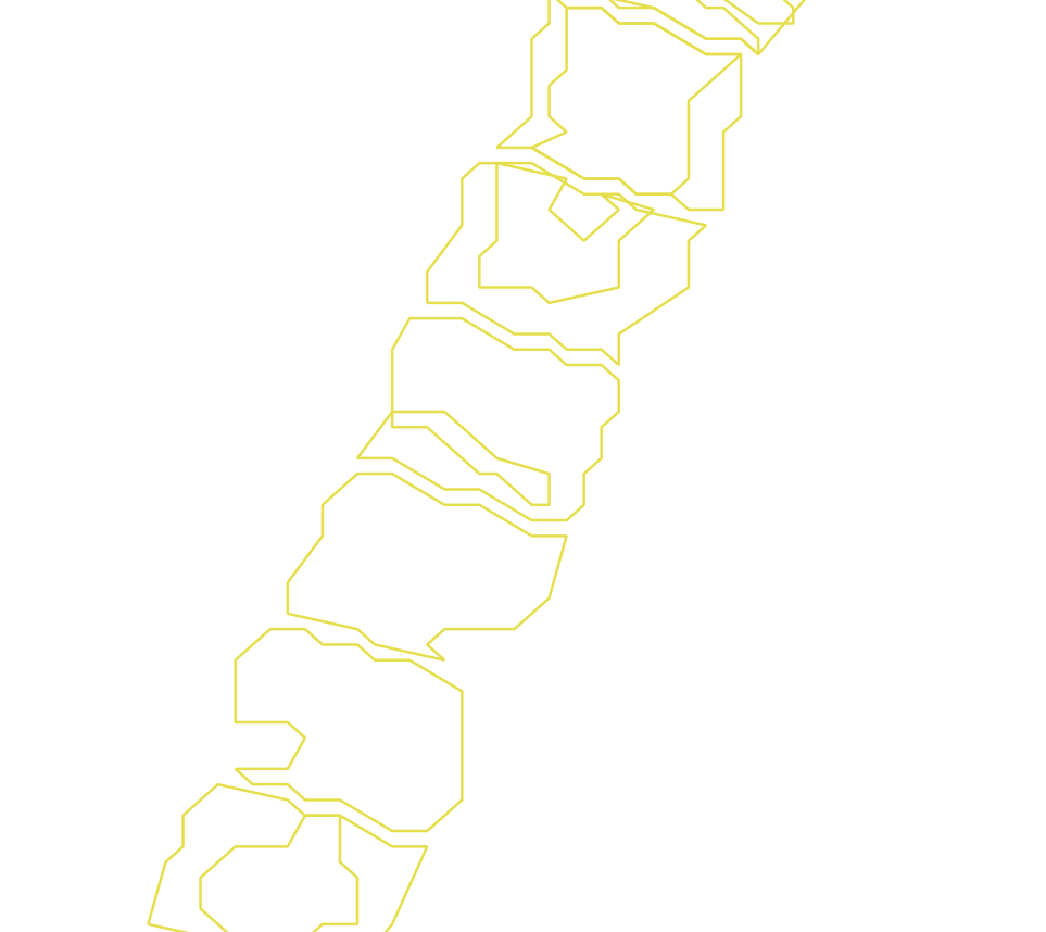 Daksegment ingezoomd met contourlijnen en structuurweergave