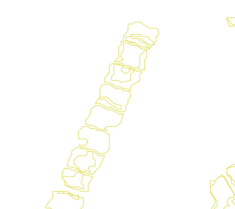 Daksegment met contourlijnen en structuurweergave