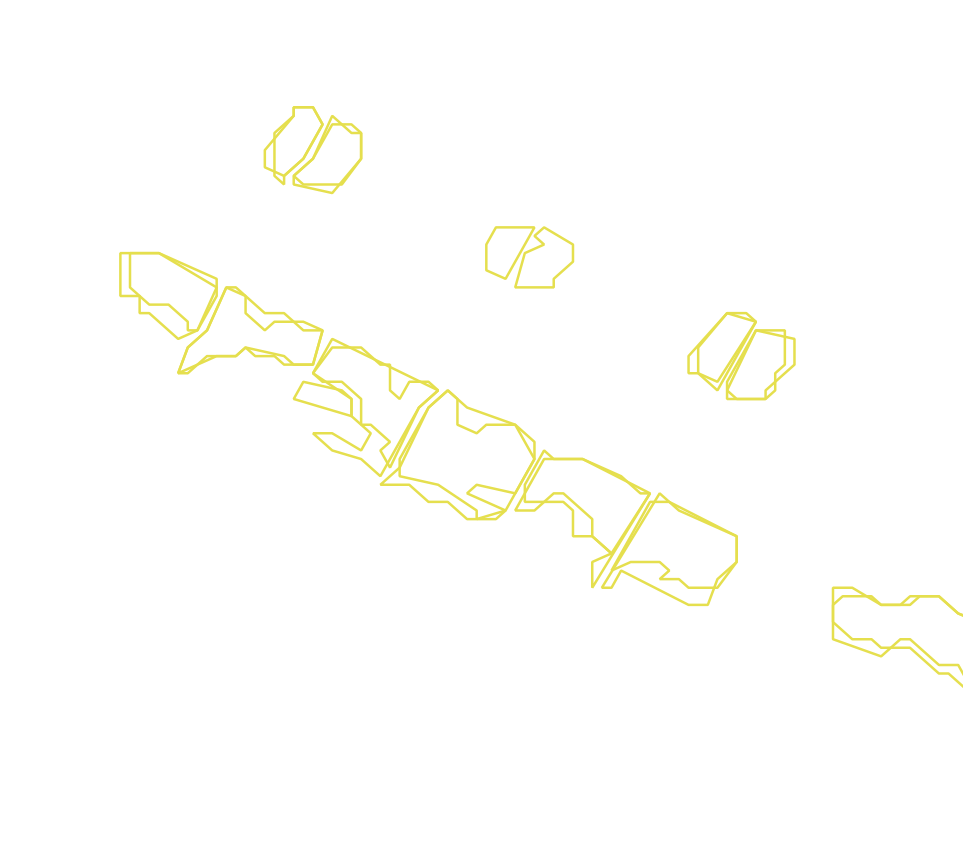 Daksegment met contourlijnen en structuurweergave