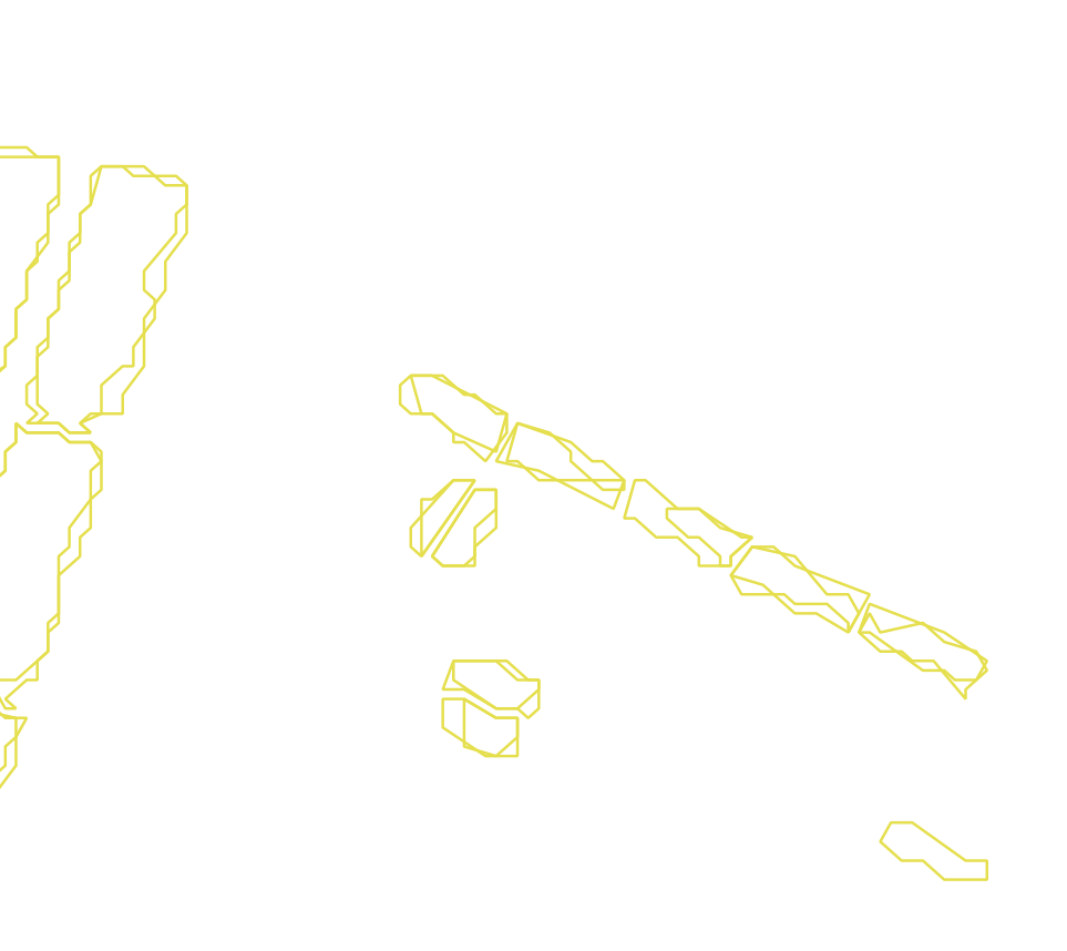 Daksegment met contourlijnen en structuurweergave