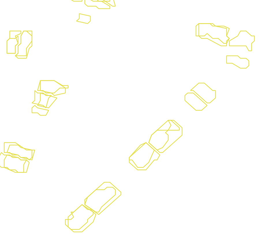 Daksegment met contourlijnen en structuurweergave