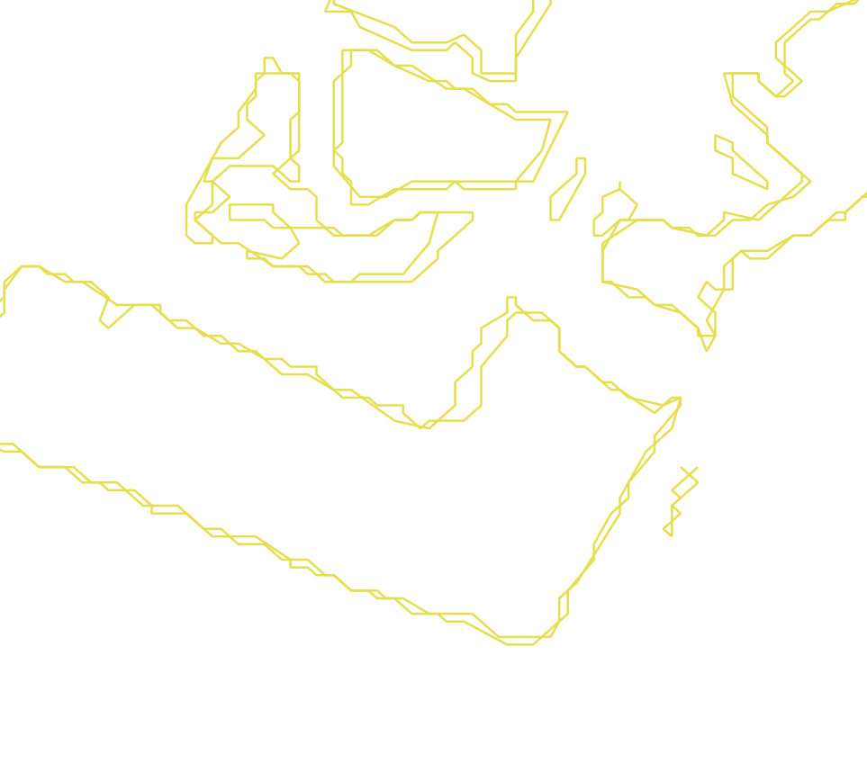 Daksegment met contourlijnen en structuurweergave