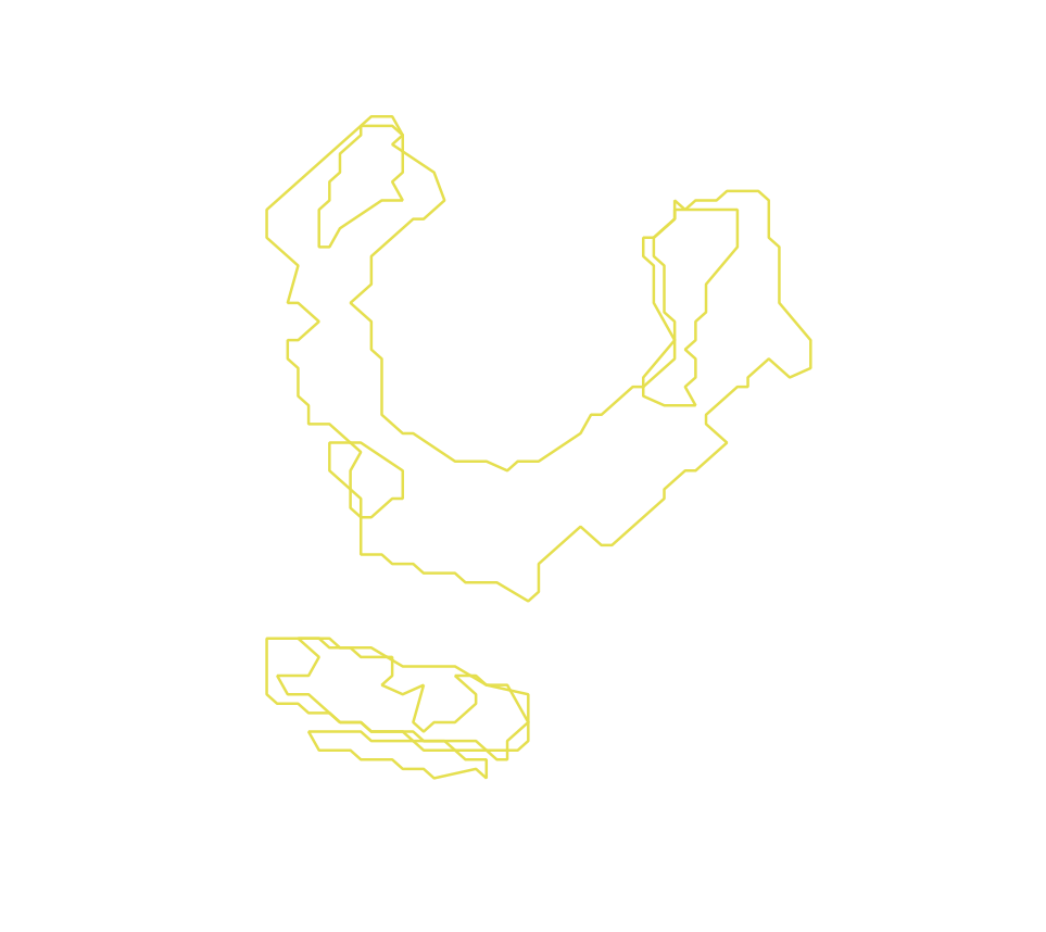 Daksegment met contourlijnen en structuurweergave