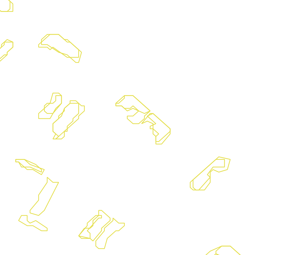 Daksegment met contourlijnen en structuurweergave