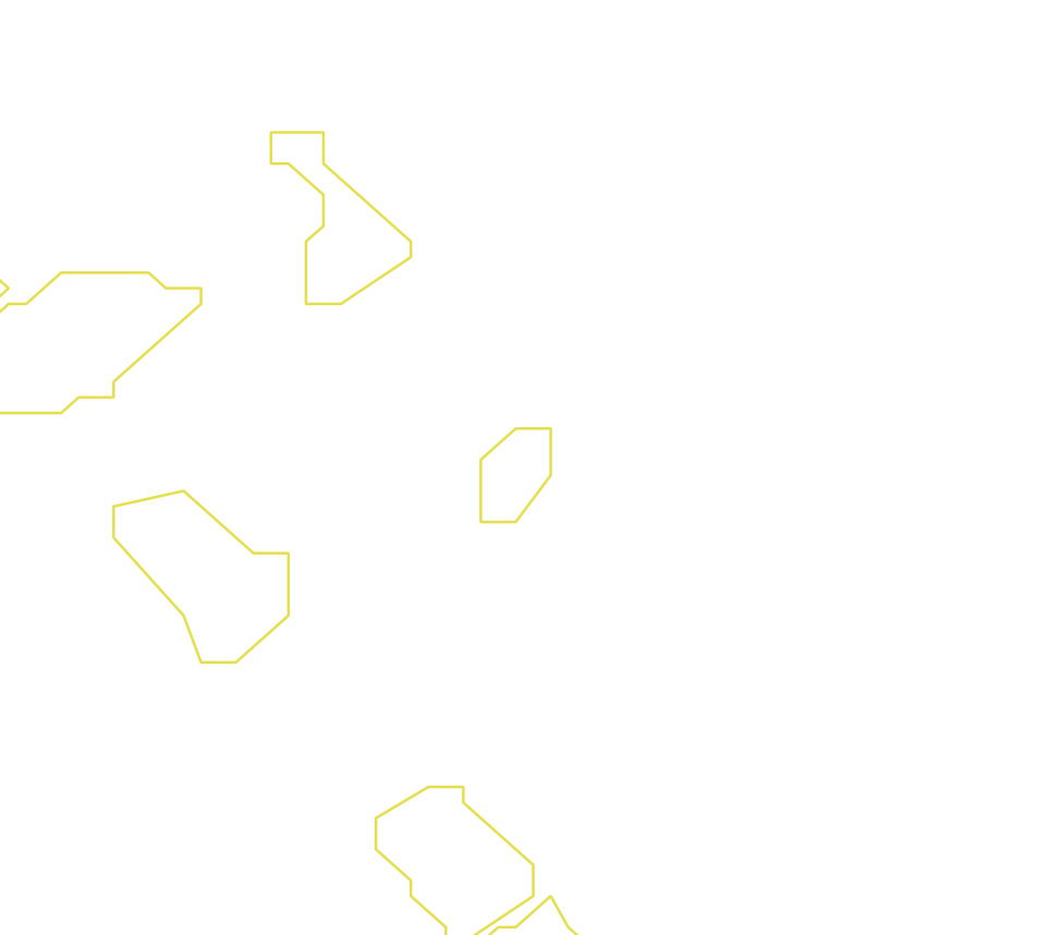 Daksegment ingezoomd met contourlijnen en structuurweergave
