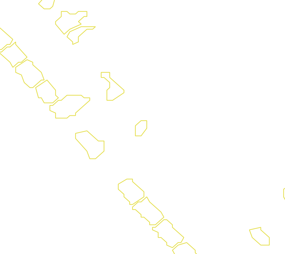 Daksegment met contourlijnen en structuurweergave