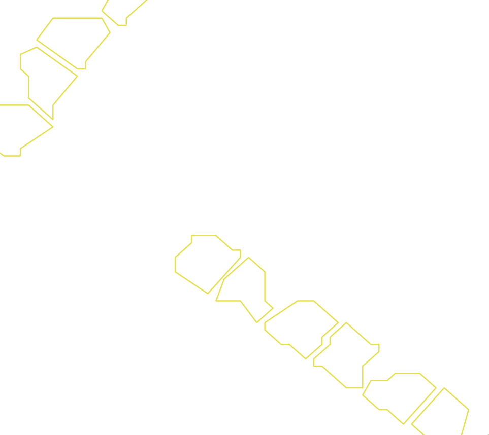 Daksegment ingezoomd met contourlijnen en structuurweergave