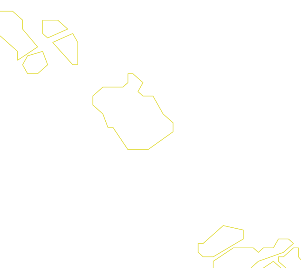 Daksegment ingezoomd met contourlijnen en structuurweergave