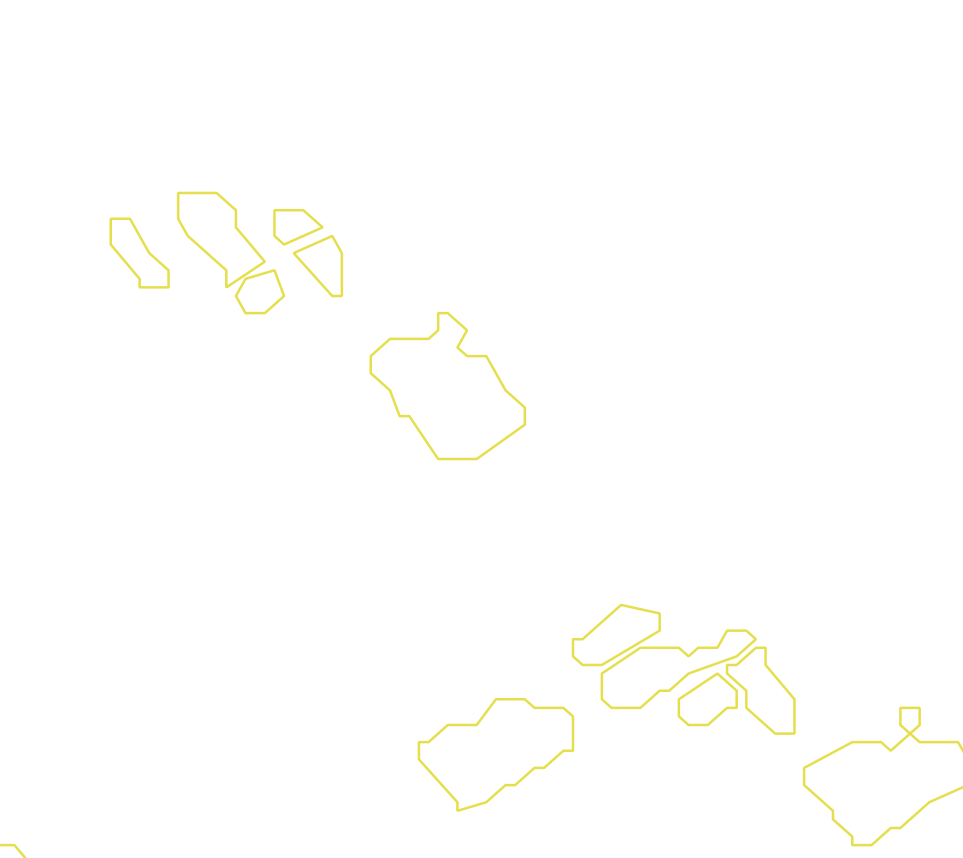 Daksegment met contourlijnen en structuurweergave