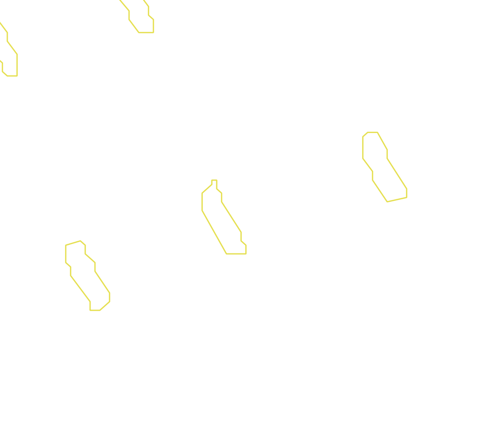 Daksegment met contourlijnen en structuurweergave