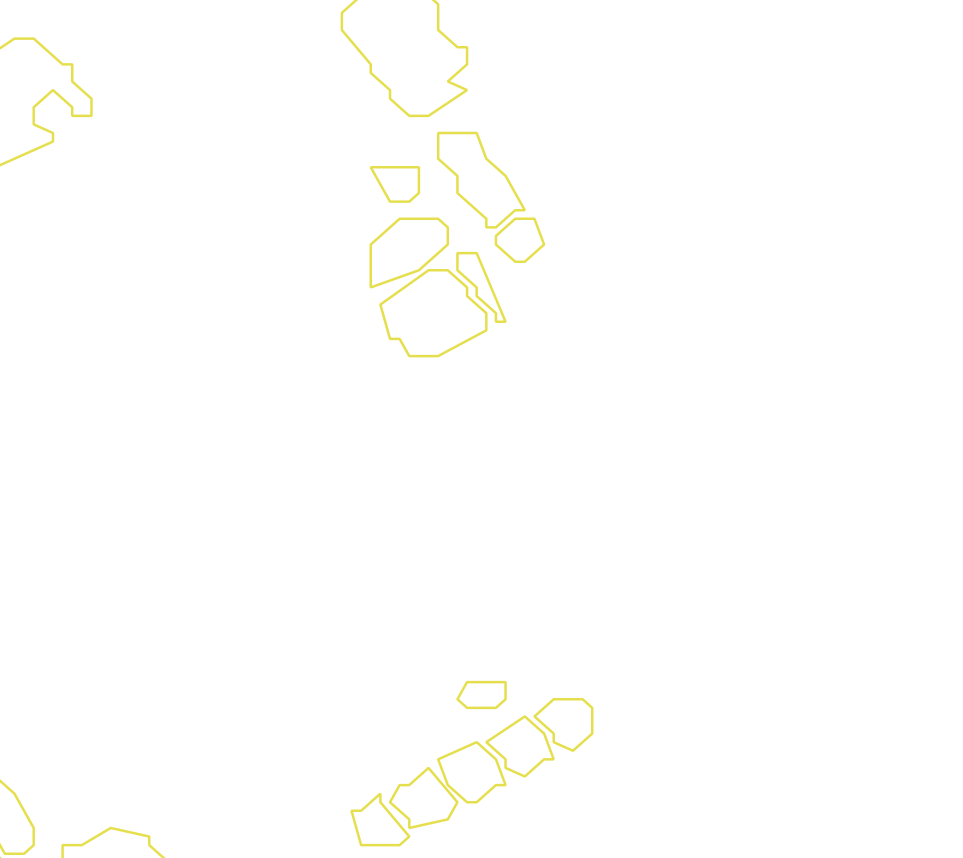 Daksegment met contourlijnen en structuurweergave