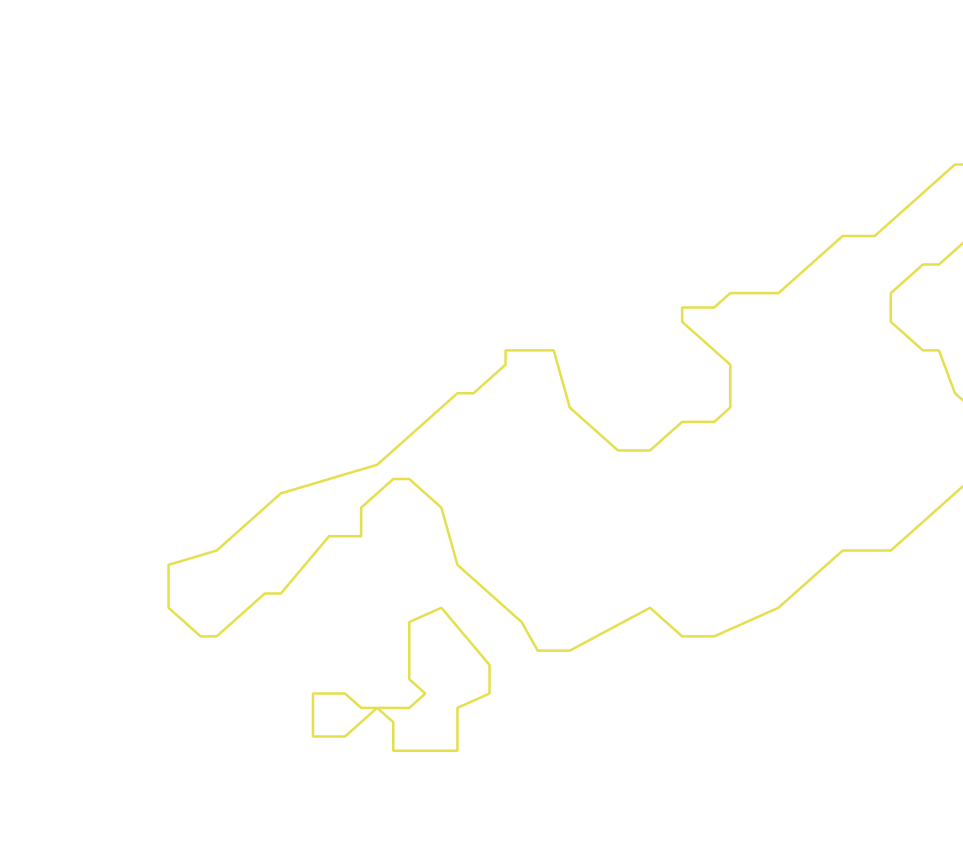Daksegment ingezoomd met contourlijnen en structuurweergave