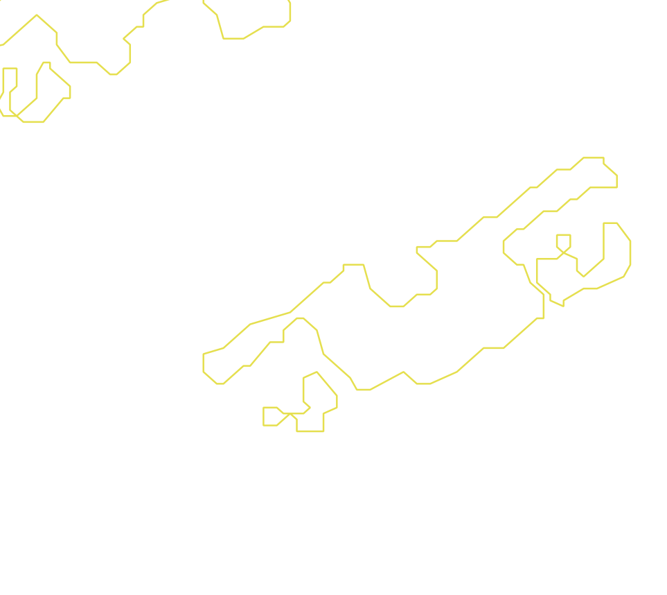 Daksegment met contourlijnen en structuurweergave