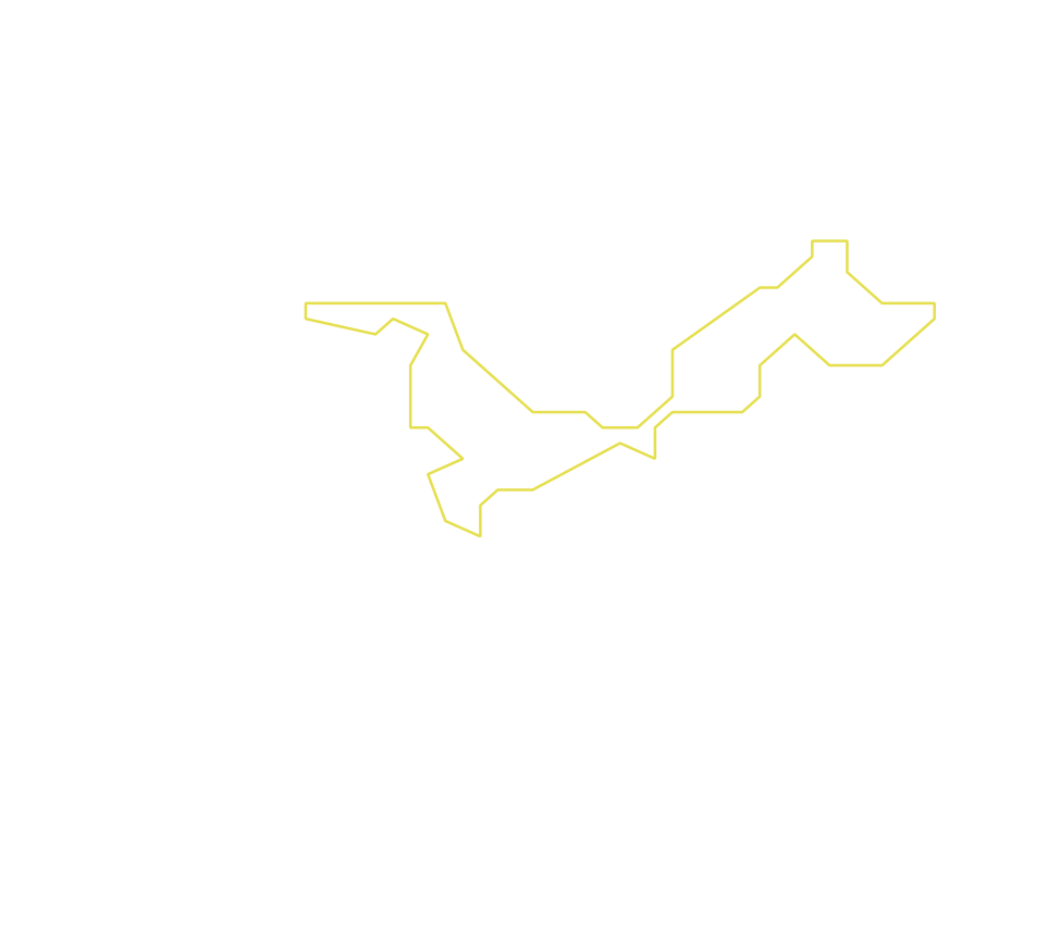 Daksegment ingezoomd met contourlijnen en structuurweergave