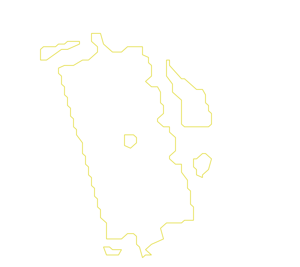 Daksegment met contourlijnen en structuurweergave