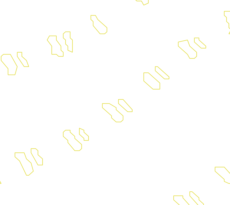 Daksegment met contourlijnen en structuurweergave