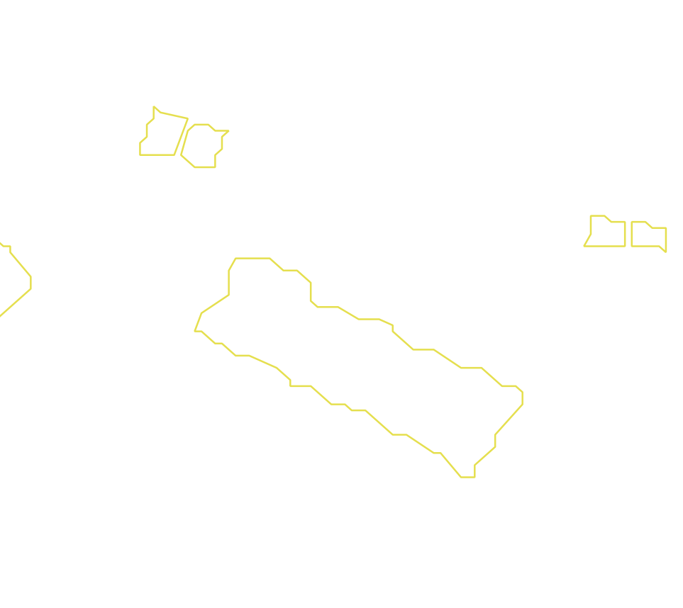 Daksegment met contourlijnen en structuurweergave
