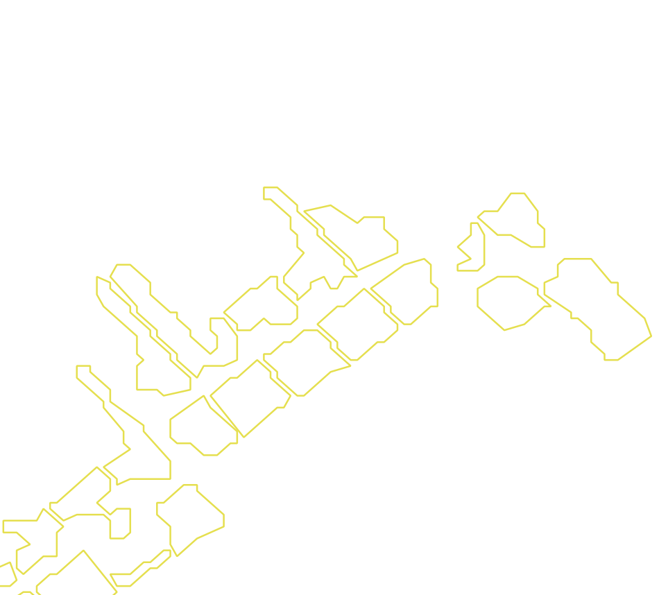 Daksegment met contourlijnen en structuurweergave