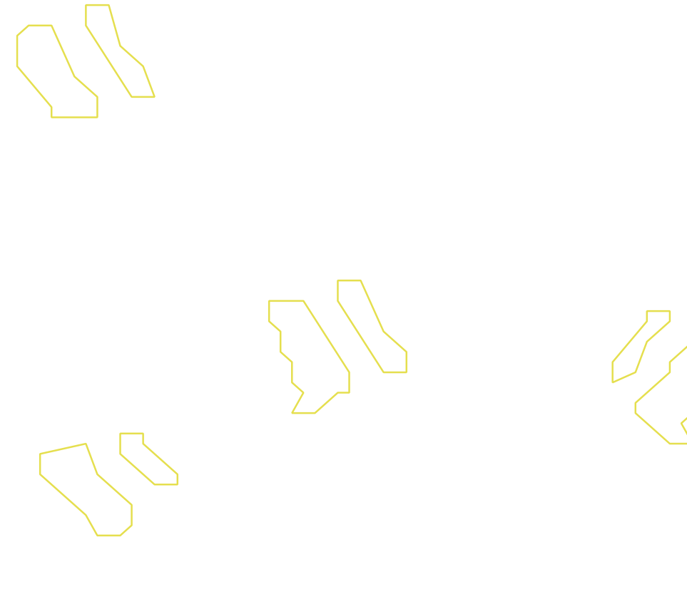 Daksegment ingezoomd met contourlijnen en structuurweergave