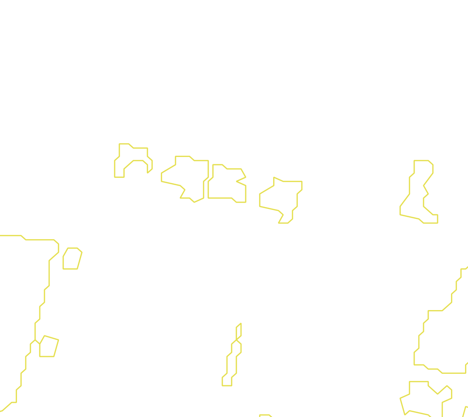 Daksegment met contourlijnen en structuurweergave