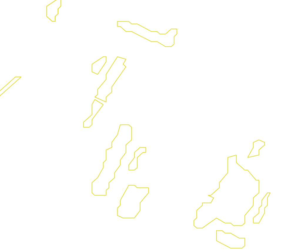 Daksegment met contourlijnen en structuurweergave